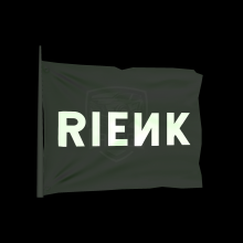 Rienk