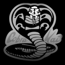 Cobra Kai 