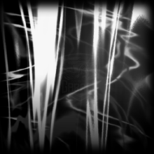 Borealis 
