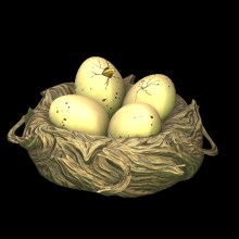 Bird Nest 