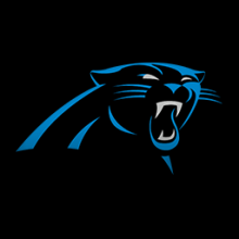 Carolina Panthers 