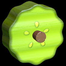 Pickled
