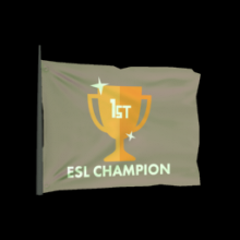 ESL Champ
