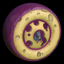 Harris-Kshlerin 