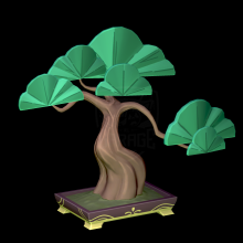 Bonsai Tree