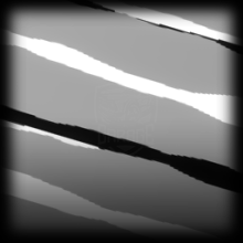 Tiger Torrent 