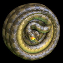 Slithery