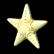 Seastar 