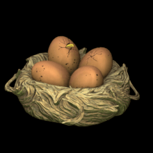 Bird Nest 