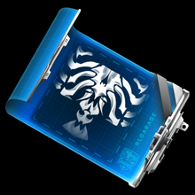 Vertebrate blueprint