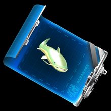 Catfish blueprint