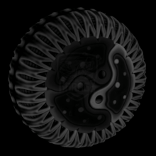 Cytoplasm 