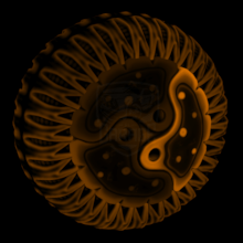 Cytoplasm 