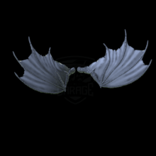 Dragon Wings 