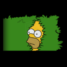 Homer's Hedges