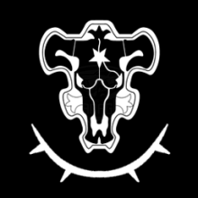 Black Bulls Asta