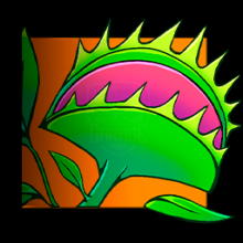 Venus Flytrap