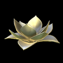 Flower - Lotus 