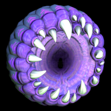 Gnaw'd 