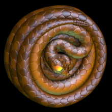 Slithery 