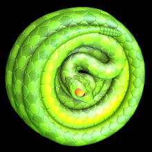 Slithery