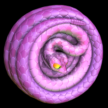 Slithery 