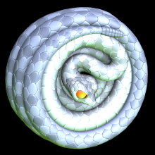 Slithery 