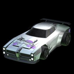 Mondo on a car