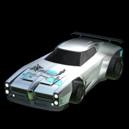 Mondo on a car