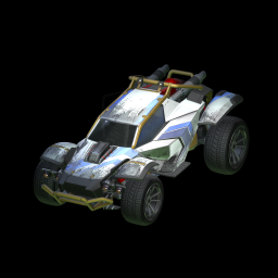 Muddy on a car