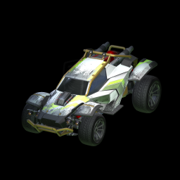 Muddy on a car