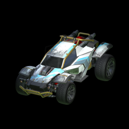 Muddy on a car