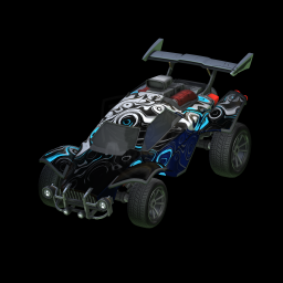 Rizer on a car