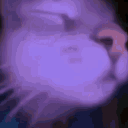 cct's avatar
