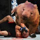 CombatWombat341's avatar