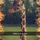 SimonLeSaumon's avatar