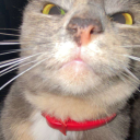 Samylou67's avatar