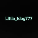 little_tdog777