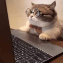 uSeuVagem's avatar