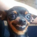 pedrothevenomous3202