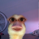 Zekaboi's avatar