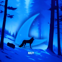 wxlfy_rl's avatar