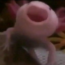 HaufenKatze's avatar