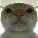 NotScemer's avatar