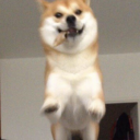 UhFullscreen's avatar