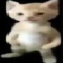 Gaaavert's avatar