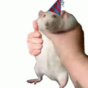 noewn's avatar