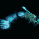 FishJr910's avatar