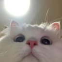 R0_Curtis's avatar