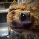 RoadToChamprl's avatar